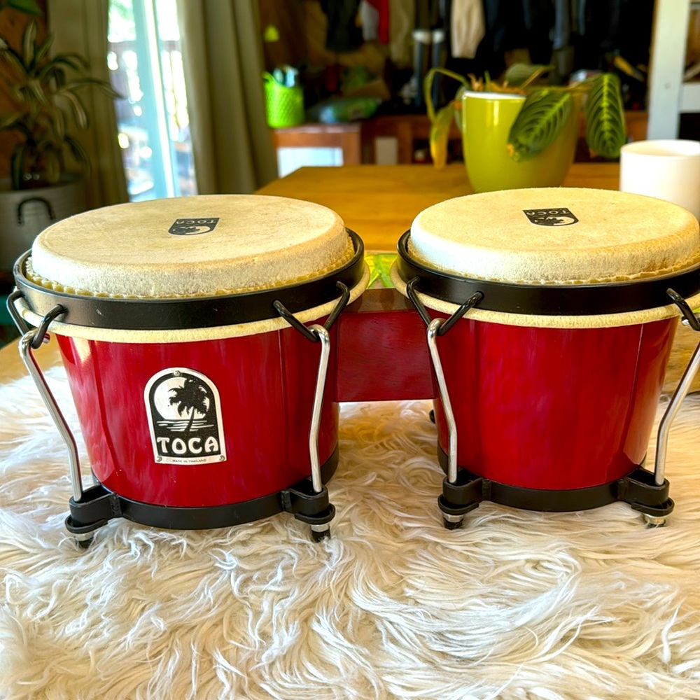 Toca bongo drums
